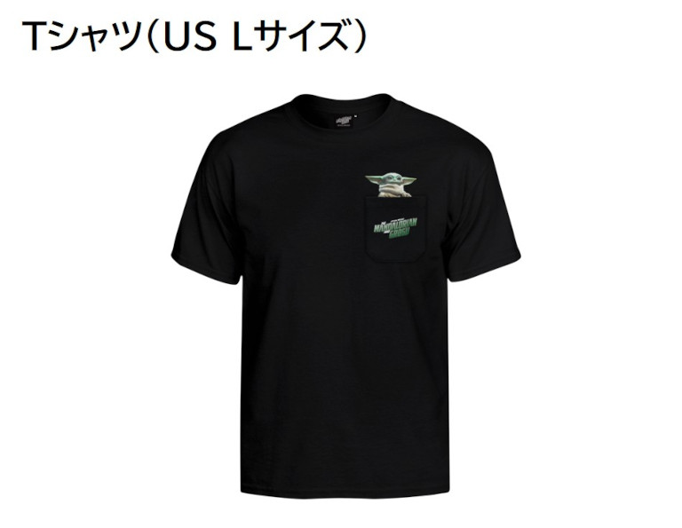 Tシャツ