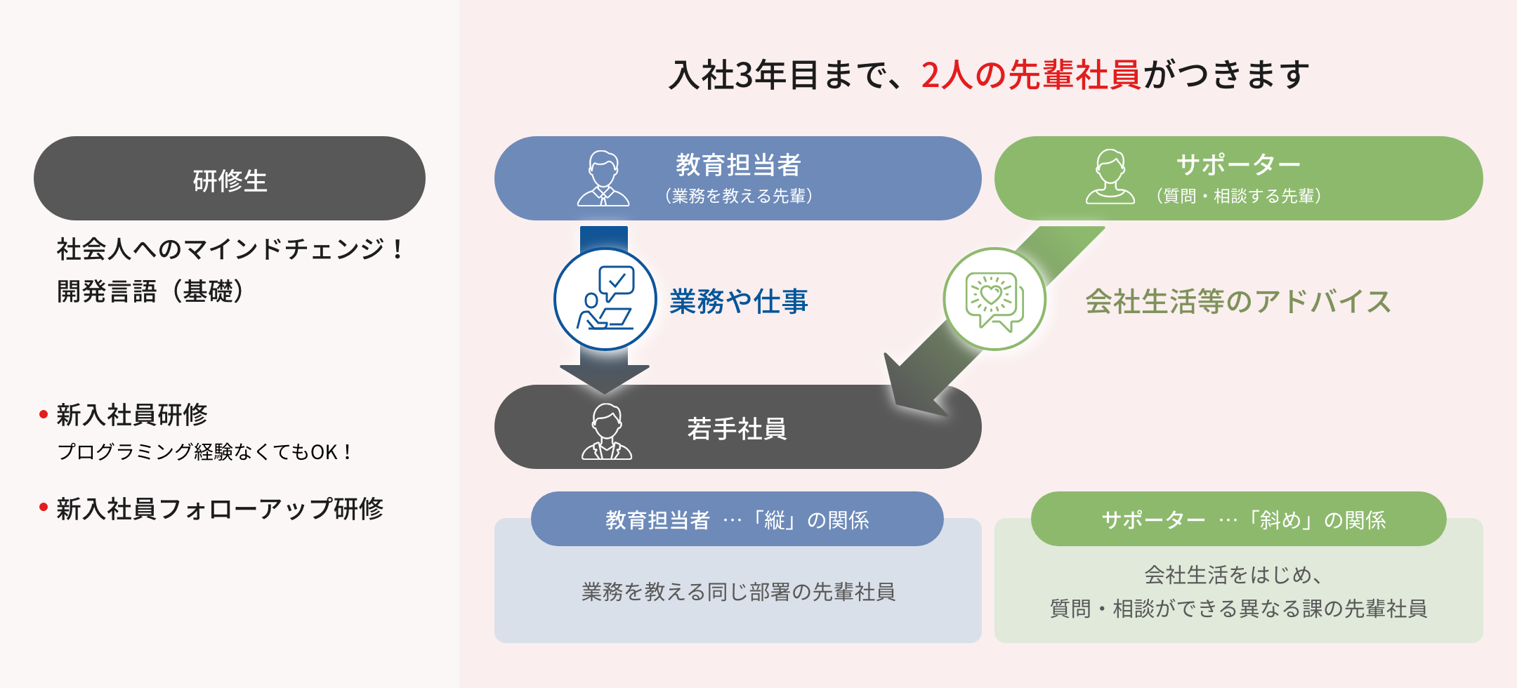 若手社員を手厚くフォローする環境