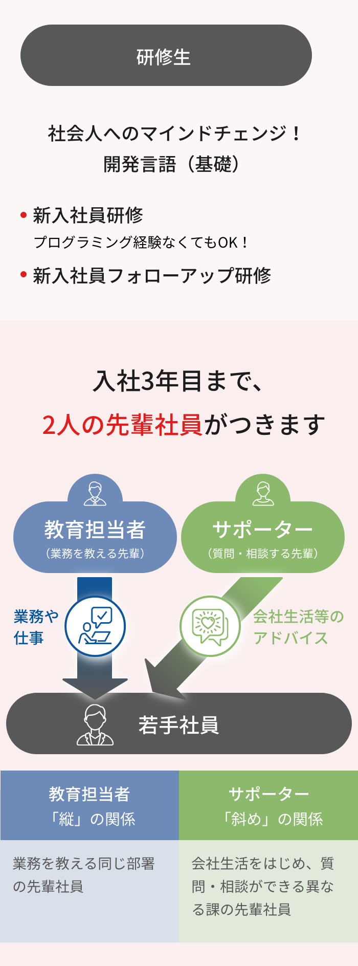 若手社員を手厚くフォローする環境