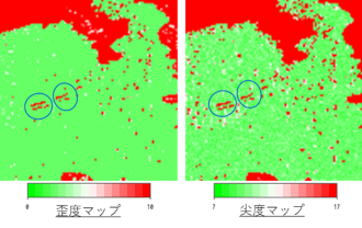 図 14 ALOS-2画像の歪度(左)と尖度(右)