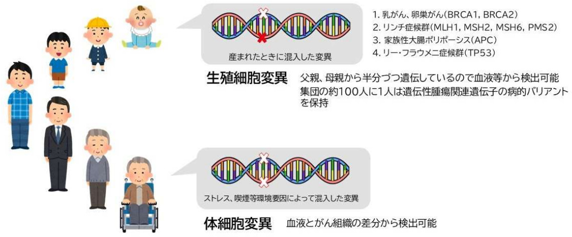 図1 生殖細胞変異と体細胞変異